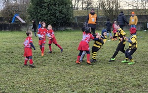 M8 - PLATEAU ENSISHEIM