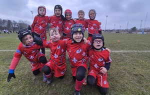 PLATEAU M8 HAGUENAU 31.01.2026