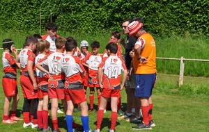 CHALLENGE ALSACE M12 SELESTAT 06.05.2026