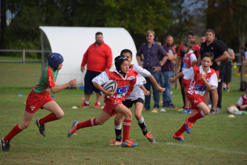 U14 TOURNOI A 7 SAINT-LOUIS 06.10.2018 - Rugby Club Saint-Louis - RCSL- Haut-Rhin 68