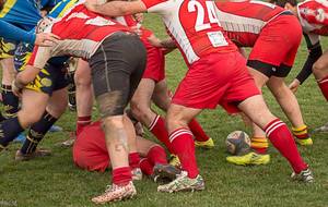 REPRISE ENTRAINEMENTS SENIORS / FEMININES