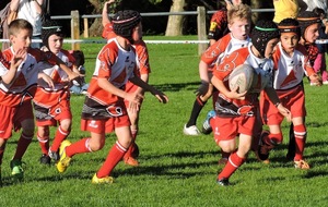 REPRISE ENTRAINEMENTS ECOLE DE RUGBY