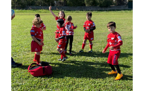 TOURNOI EDR M8 COLMAR - 11.10.2025